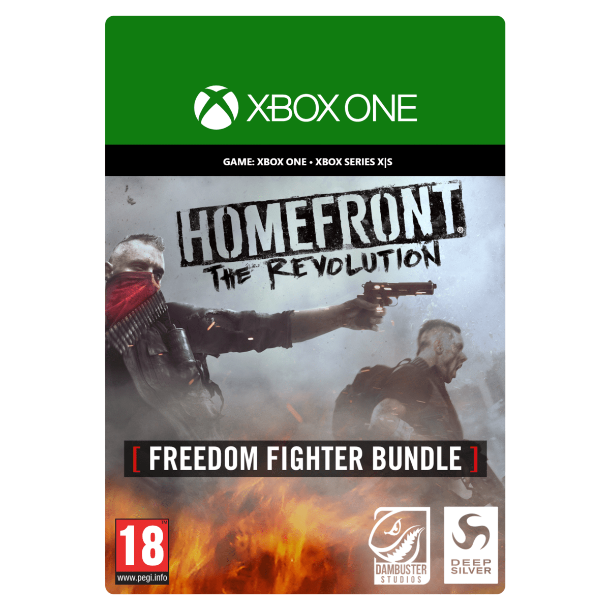 Homefront: The Revolution Freedom Fighter