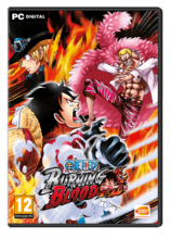 one-piece-burning-blood-emea-.png